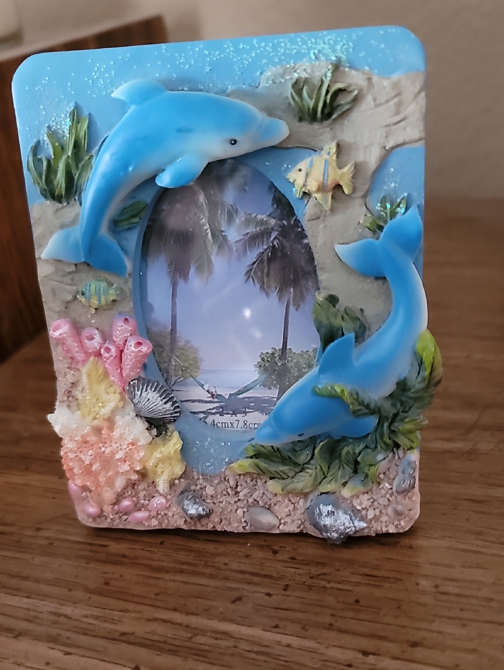Blue Dolphin Resin Picture Frame - Coastal Home Accent